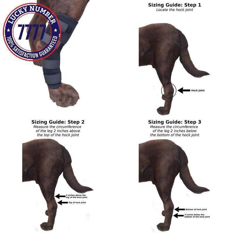 Alternative view of Labra Dog Extra Supportive Canine Rear Leg Hock Joint Compression Wrap and and
