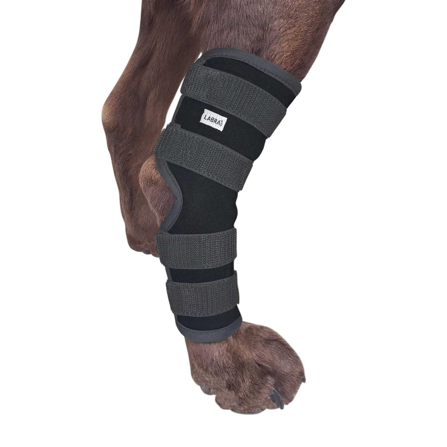 Labra Dog Extra Supportive Canine Rear Leg Hock Joint Compression Wrap and and