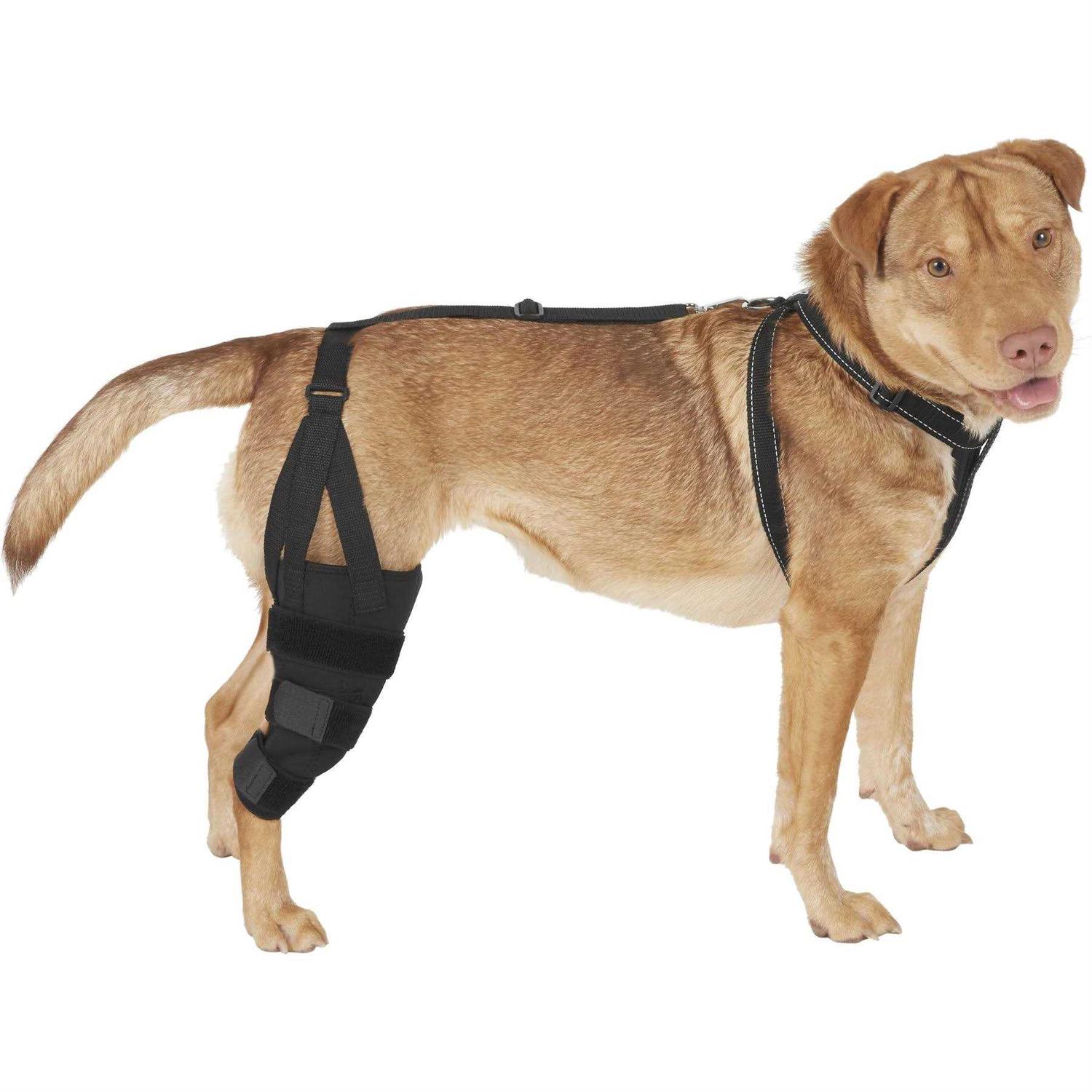 Labra Dog Canine K9 Knee Stifle Brace Wrap Metal Hinged Flexible Support Treat ACL CCL Luxating Patella Cruciate Ligament Sprain Strain Tear Injuries