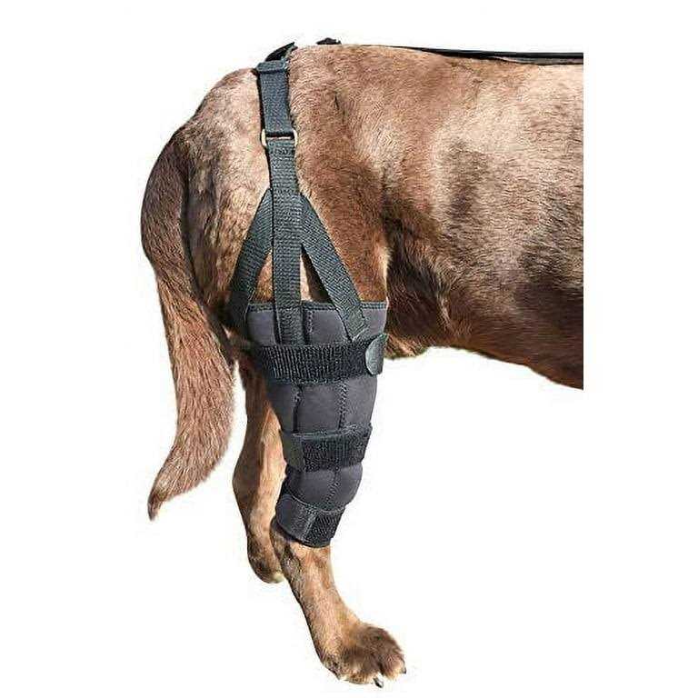 Alternative view of Labra Dog Canine K9 Knee Stifle Brace Wrap Metal Hinged Flexible Support Treat ACL CCL Luxating Patella Cruciate Ligament Sprain Strain Tear Injuries