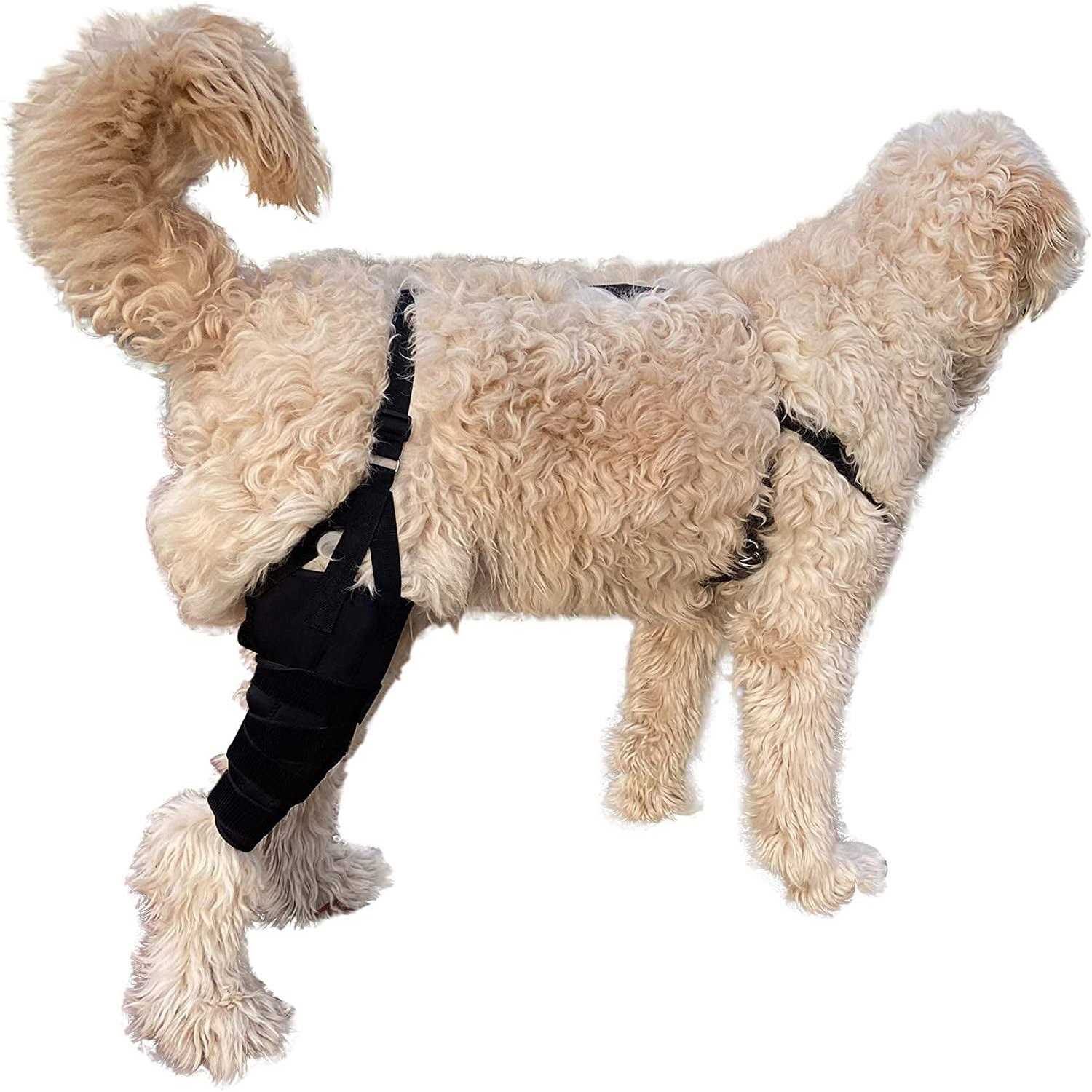 Alternative view of Labra Dog Canine K9 Knee Stifle Brace Wrap Metal Hinged Flexible Support Treat ACL CCL Luxating Patella Cruciate Ligament Sprain Strain Tear Injuries