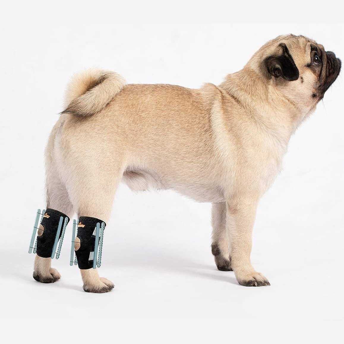 NeoAlly 3-in-1 Short Rear Leg Support Small Dog Splint Braces