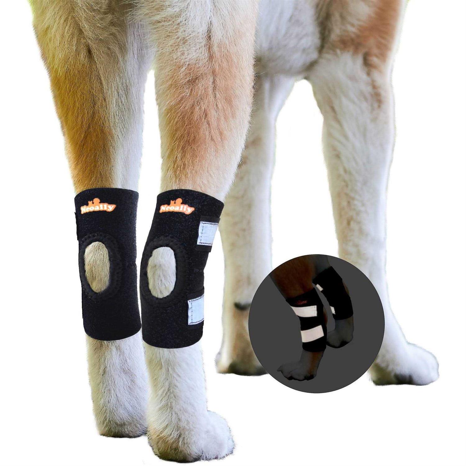 NeoAlly Dog Rear Leg Brace Canine Hock Ankle Support with Safety Reflective Straps for Hind Leg Wounds Heal and and