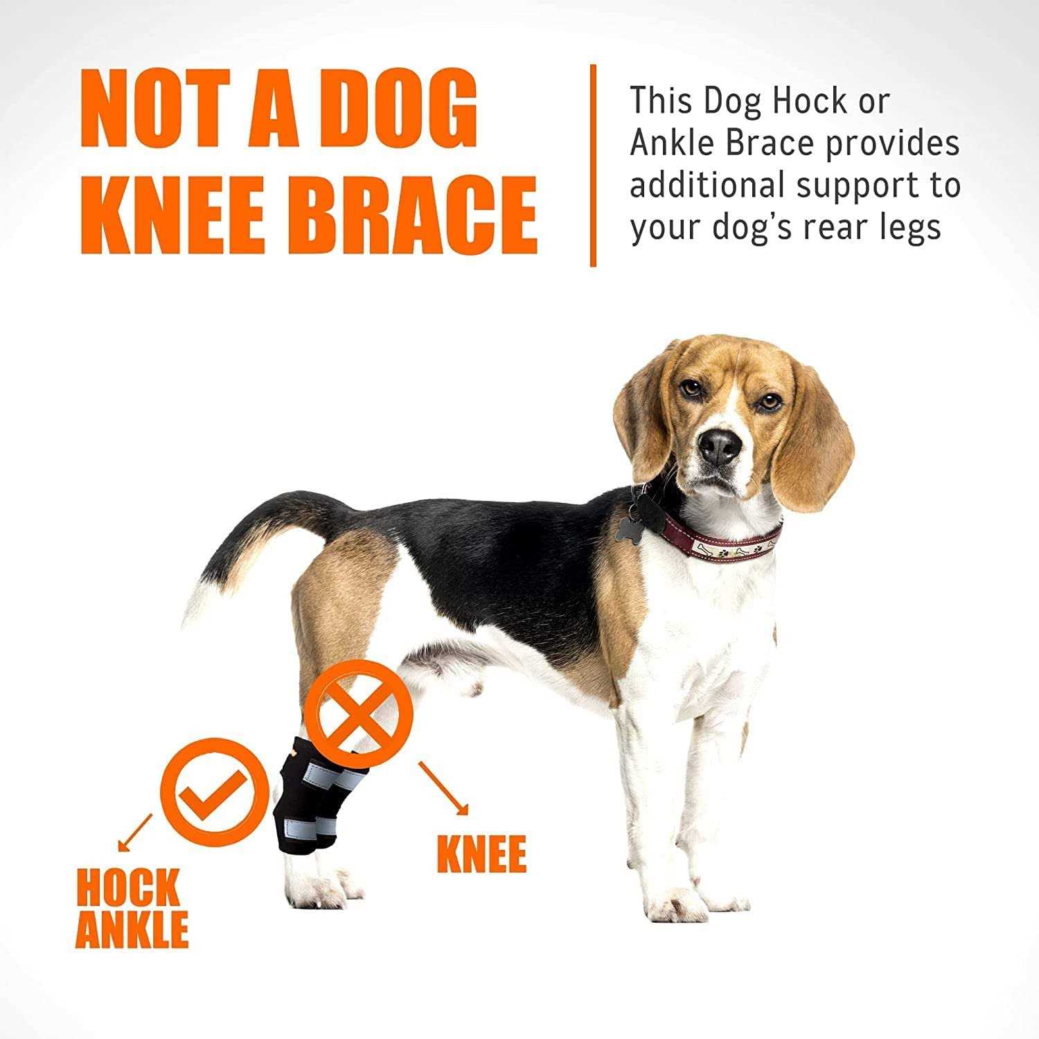 Alternative view of NeoAlly Dog Rear Leg Brace Canine Hock Ankle Support with Safety Reflective Straps for Hind Leg Wounds Heal and and