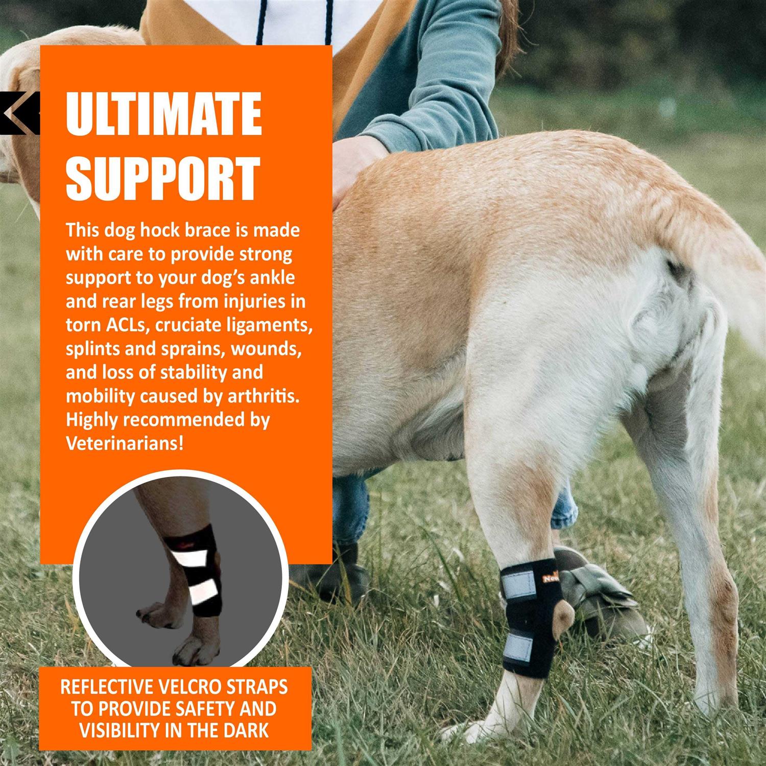 Alternative view of NeoAlly Dog Rear Leg Brace Canine Hock Ankle Support with Safety Reflective Straps for Hind Leg Wounds Heal and and