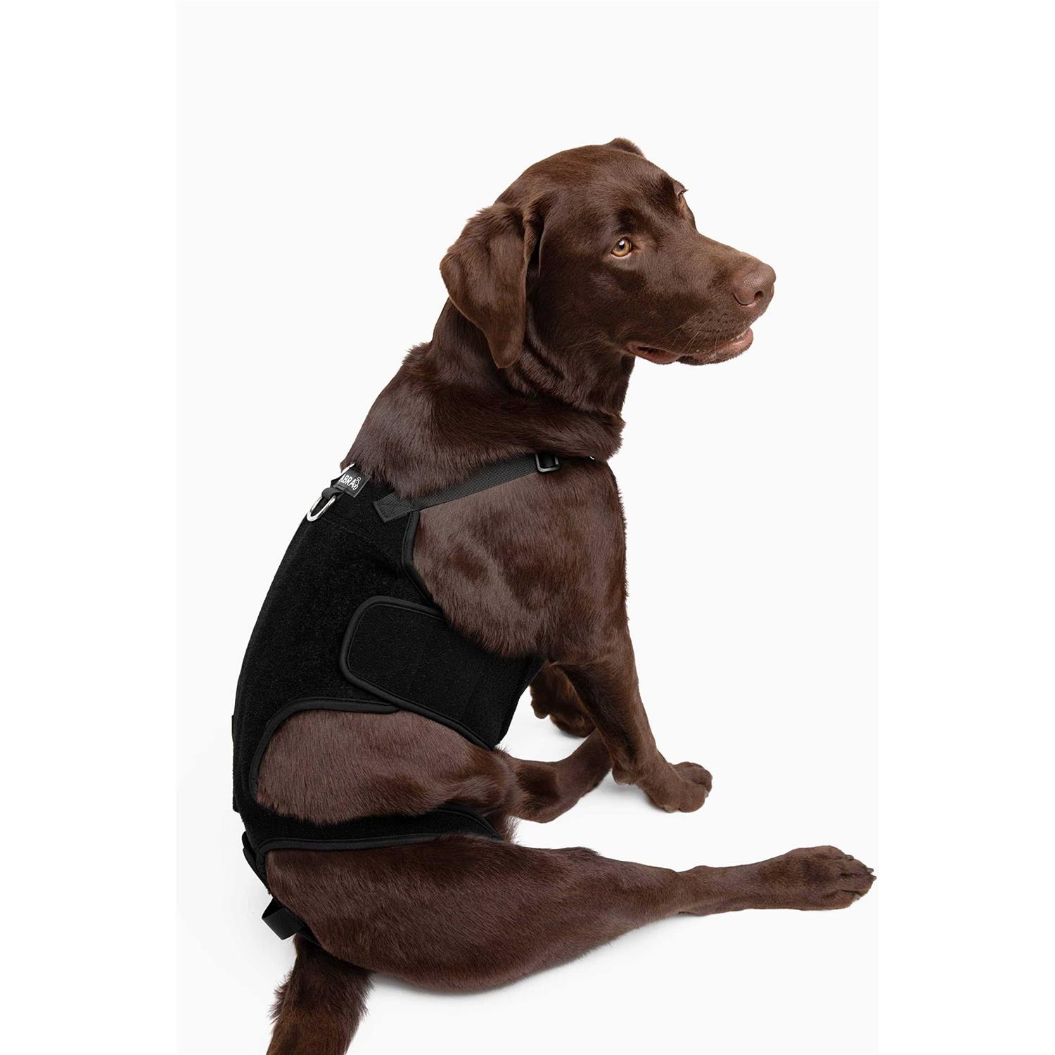 Labra Dog Canine K9 Back Brace IVDD Spine Pain & Spinal Injury