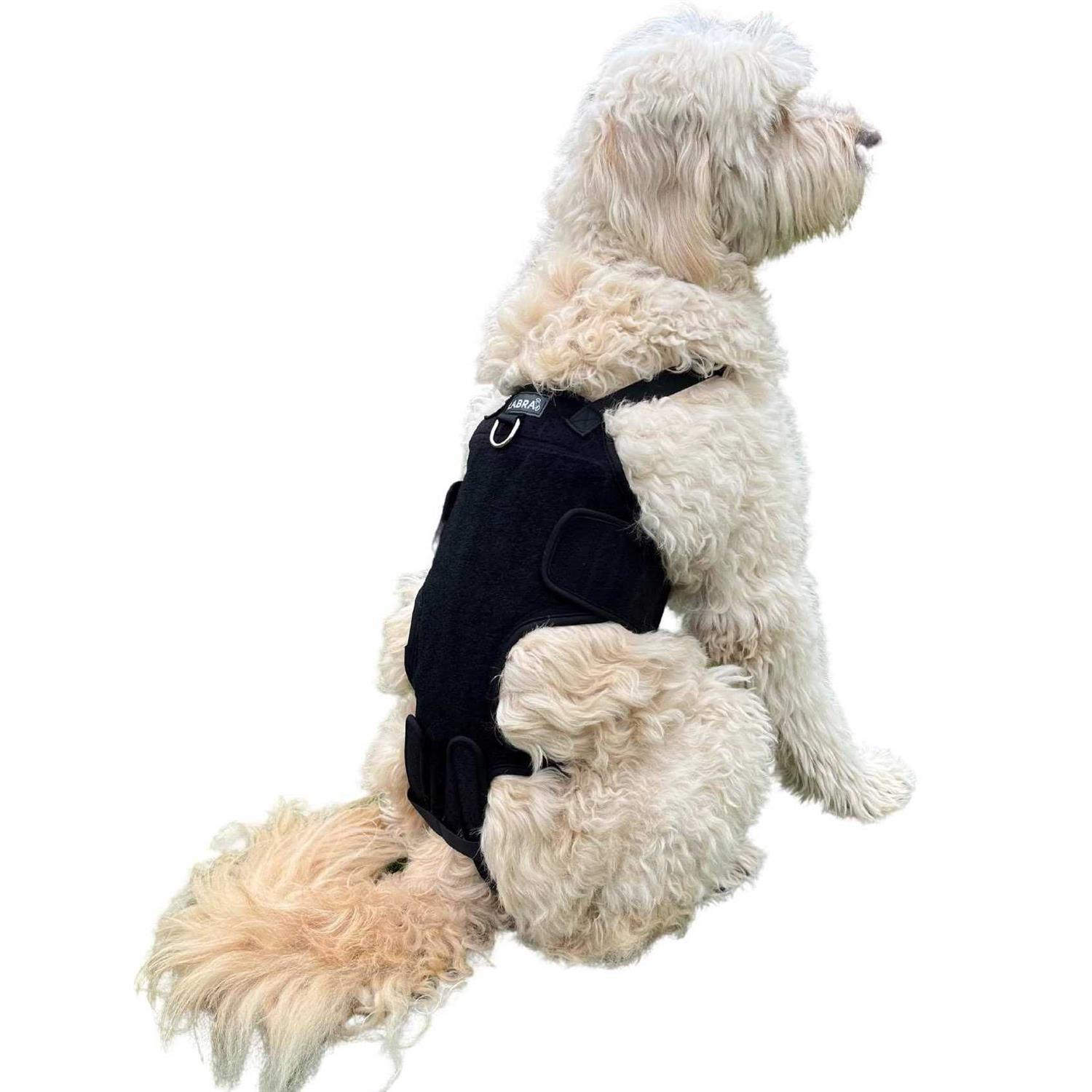Alternative view of Labra Dog Canine K9 Back Brace IVDD Spine Pain & Spinal Injury