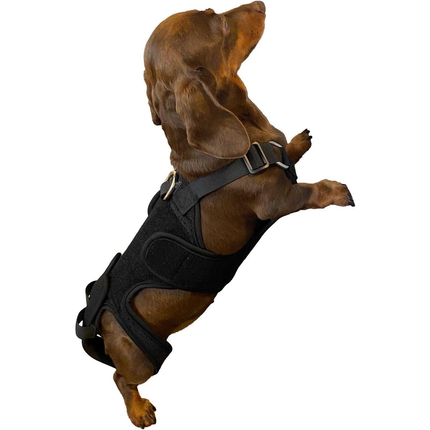 Labra Dog Canine K9 Back Brace IVDD Spine Pain & Spinal Injury