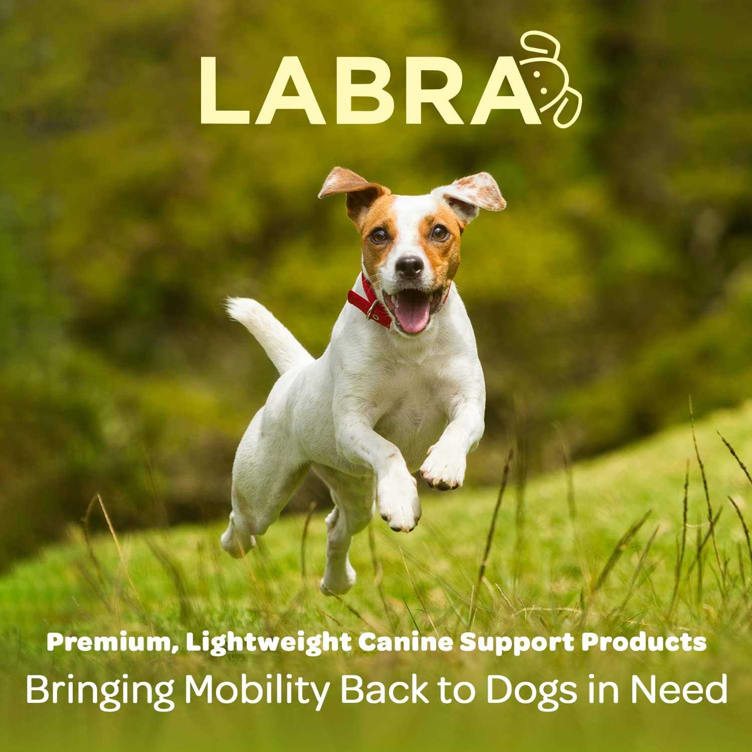 Alternative view of Labra Dog Canine K9 Back Brace IVDD Spine Pain & Spinal Injury