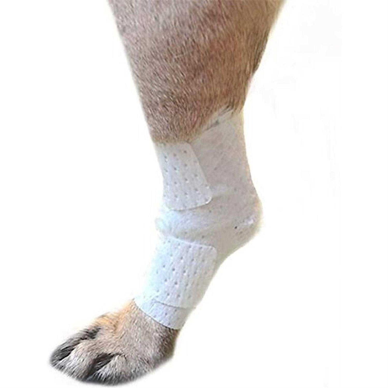 PawFlex Bandages Joint Pets