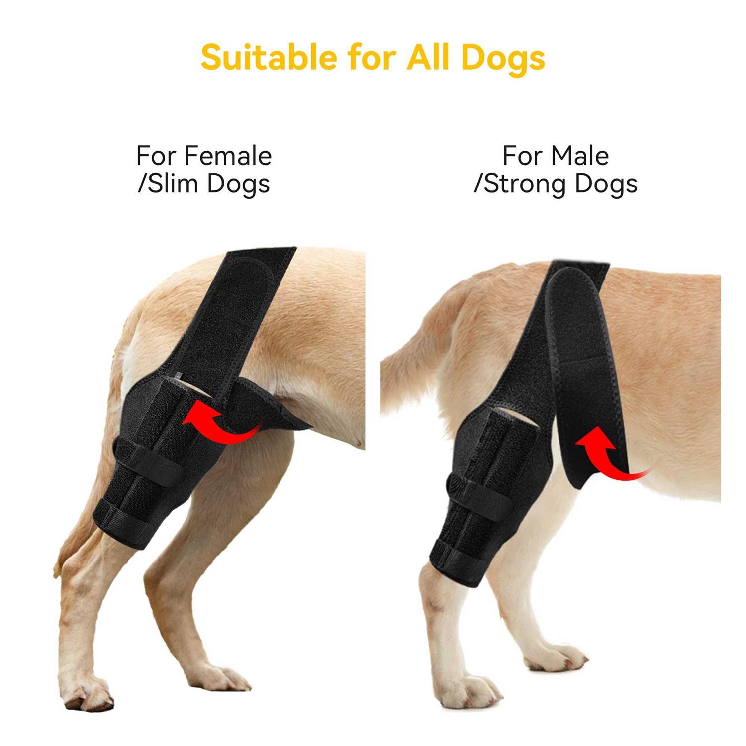 Alternative view of soundfuse Dog Knee Brace, Leg Brace for ACL with Cruciate Ligament Injury, Joint Pain and Muscle Sore
