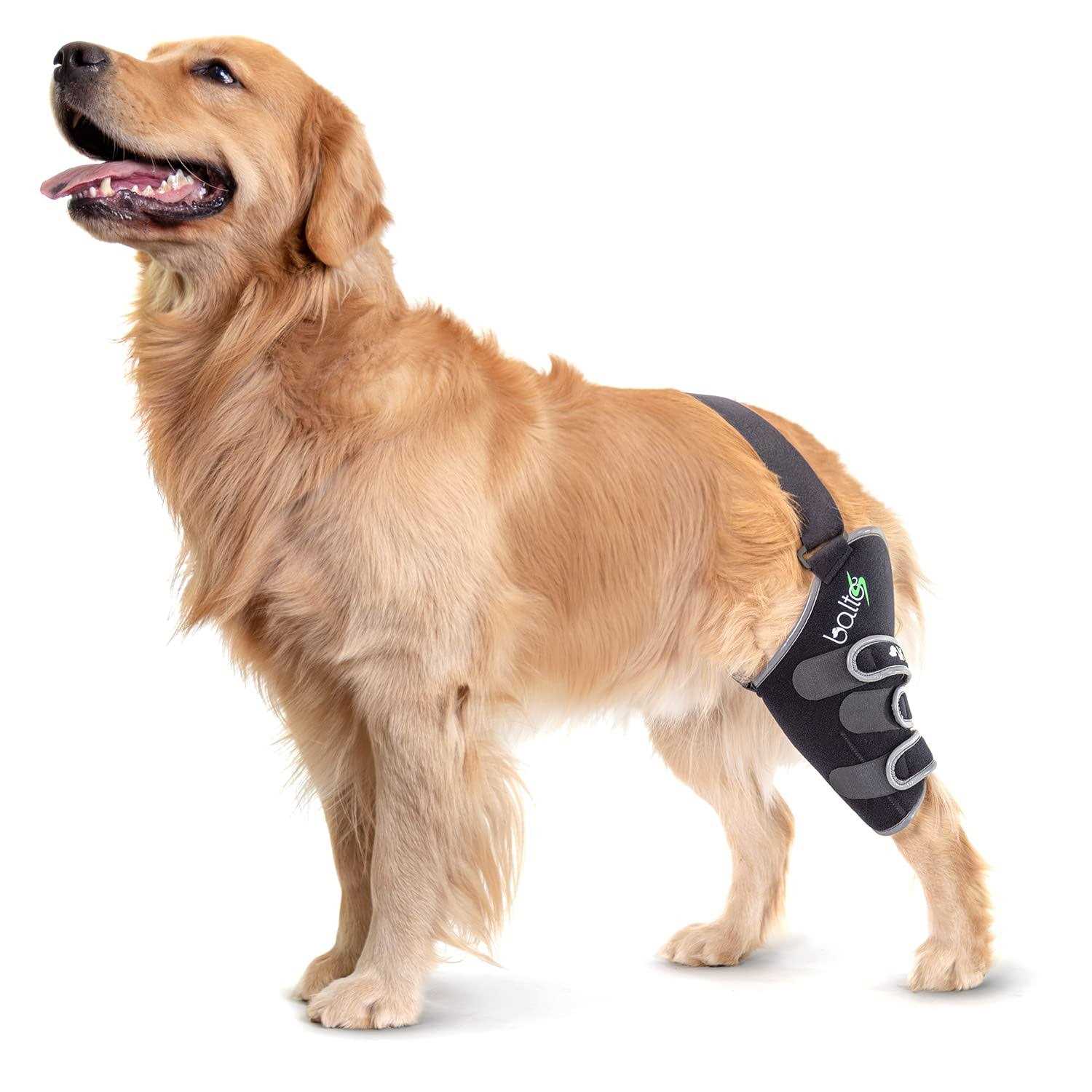 Balto Sport Agile CCL Brace Knee Support for Dogs Soft