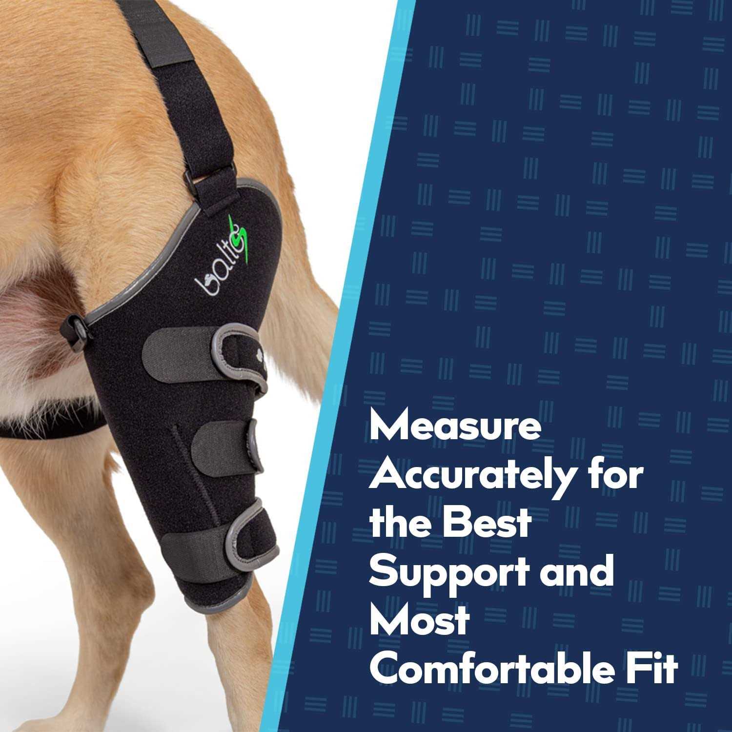 Alternative view of Balto Sport Agile CCL Brace Knee Support for Dogs Soft