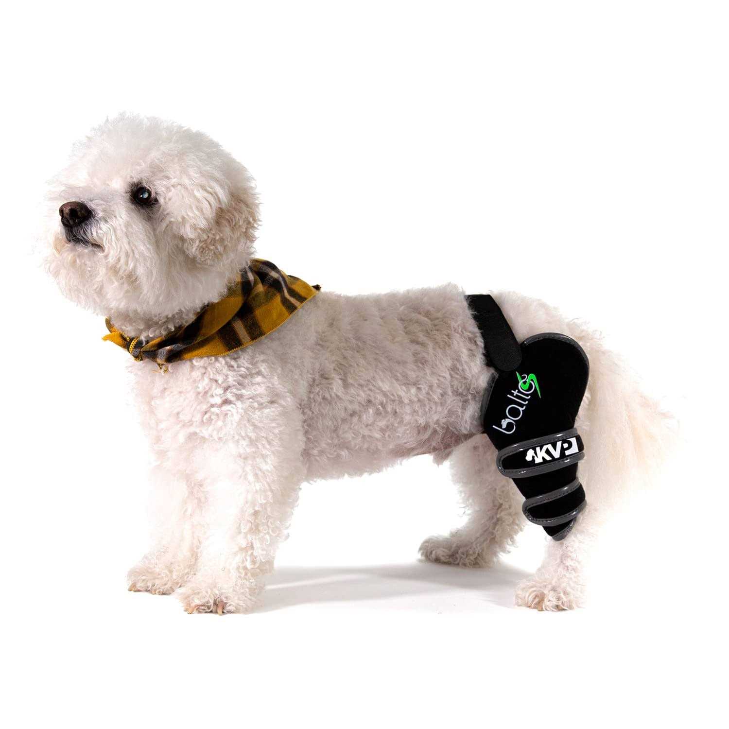 Balto Sport Agile CCL Brace Knee Support for Dogs Soft