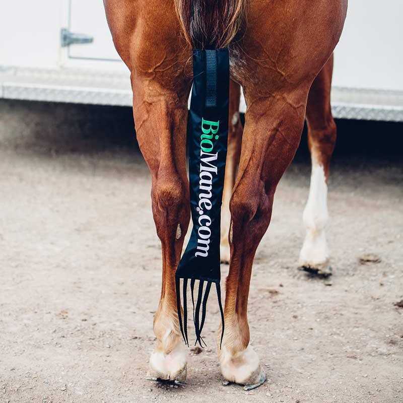 BioMane Tailbag Protect Your Horse's Tail