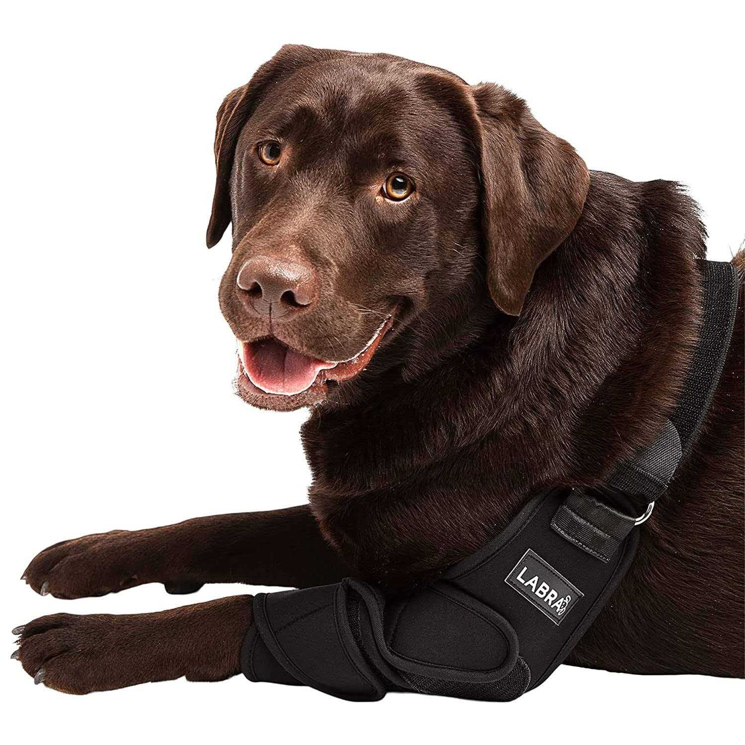 Labra Canine Shoulder Elbow Brace Leg Dog Wrap