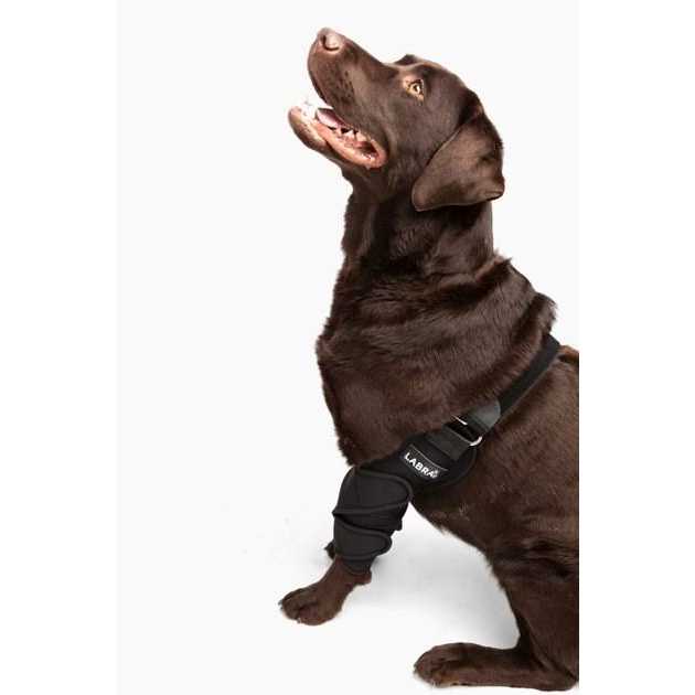Alternative view of Labra Canine Shoulder Elbow Brace Leg Dog Wrap
