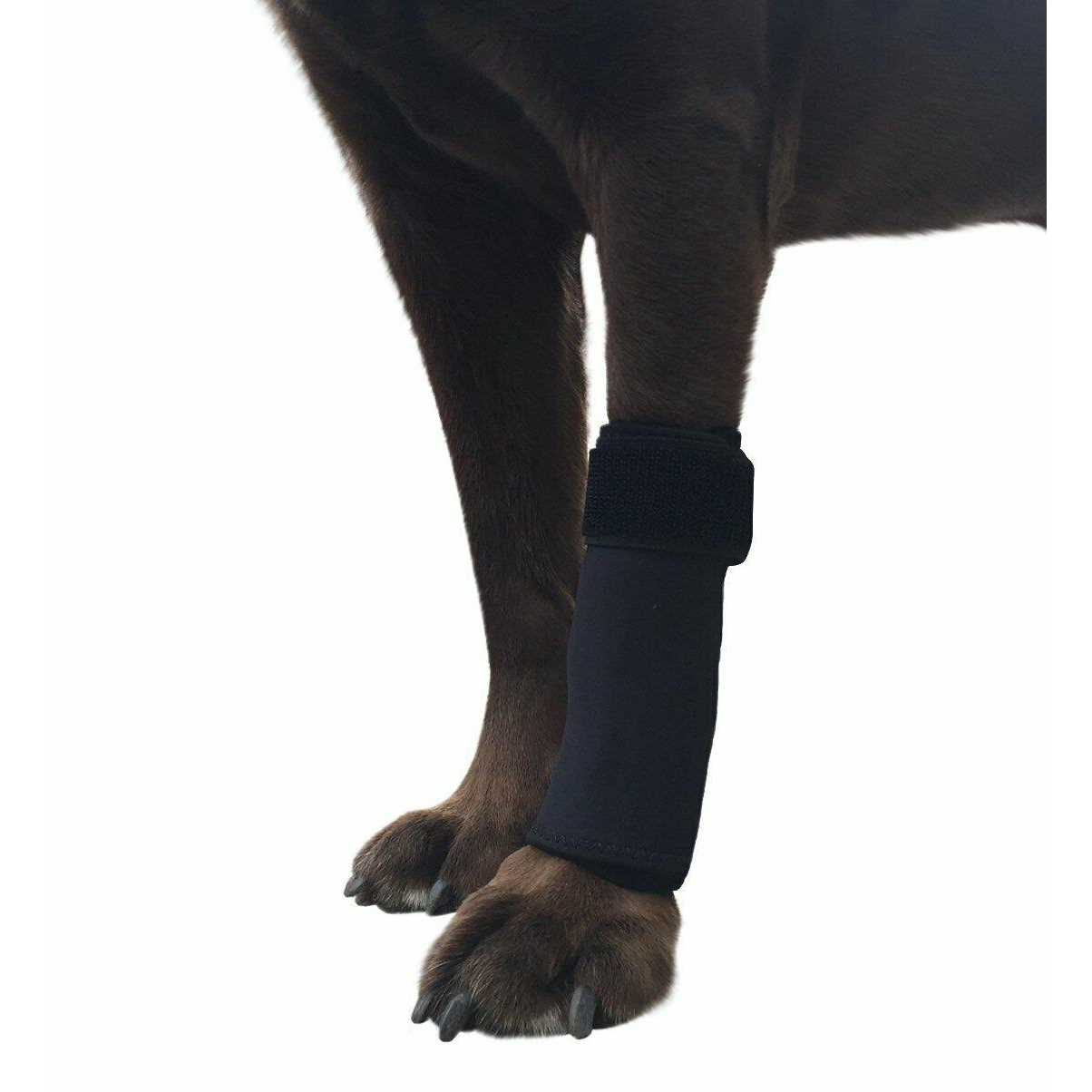 Alternative view of Labra Co. Dog Canine Front Leg Compression Brace Wrap Sleeve Protects Wounds Brace Heals and Prevents Injuries and Sprains Helps with Loss of