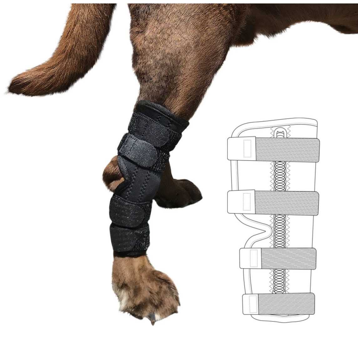 Labra Supportive Dog Rear Leg Hock Joint Wrap Brace with Metal Springs Protects Canine Wounds as They Heal Compression Brace Heals and Prevents