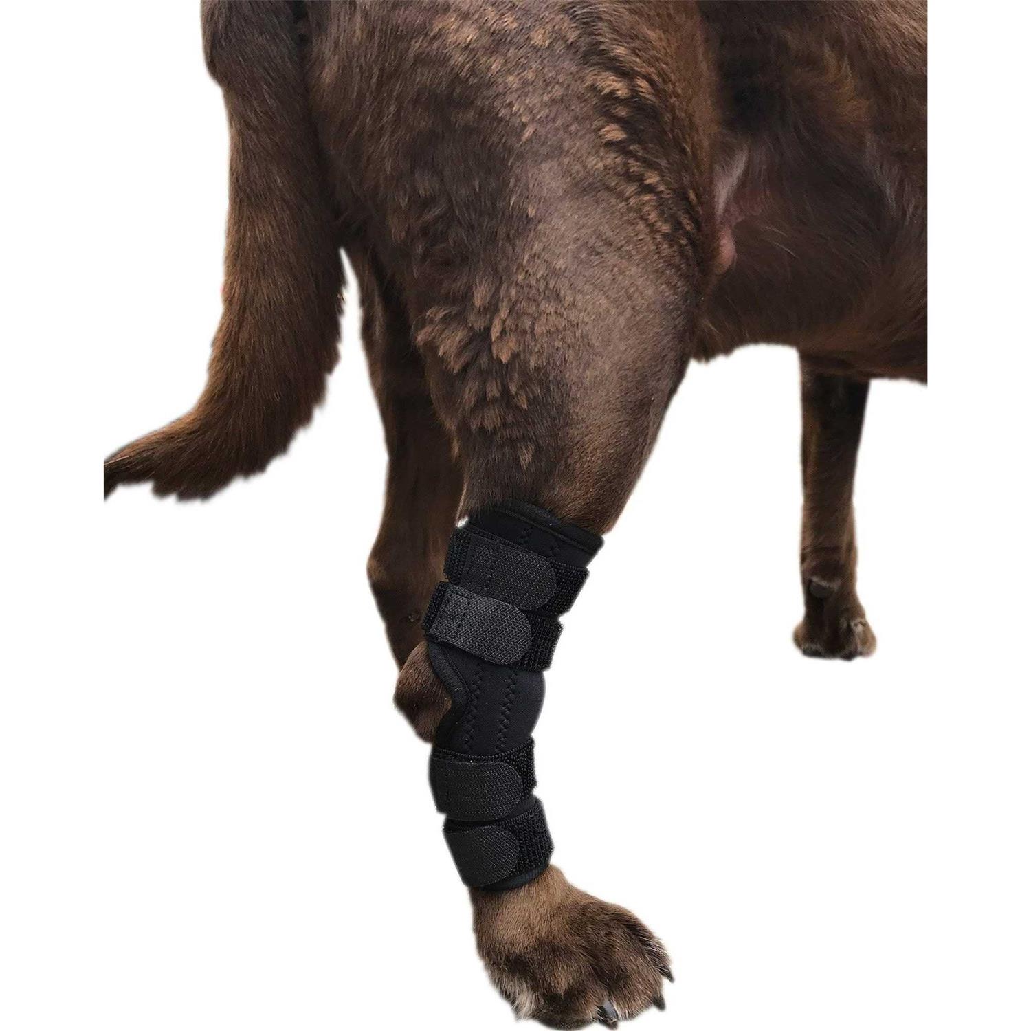 Alternative view of Labra Supportive Dog Rear Leg Hock Joint Wrap Brace with Metal Springs Protects Canine Wounds as They Heal Compression Brace Heals and Prevents