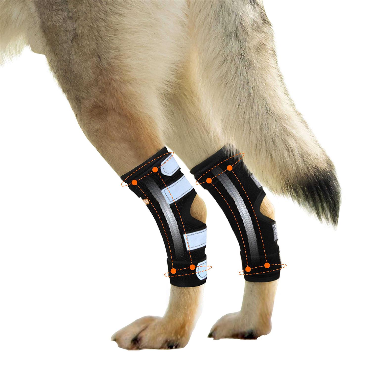 NeoAlly Dog Rear Leg Hock Metal Spring Strips