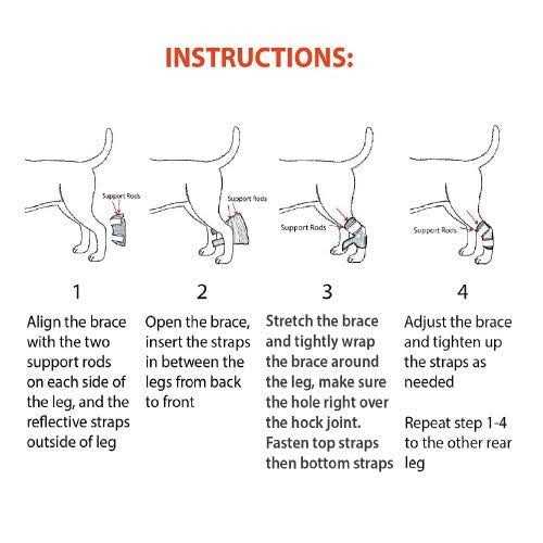 Alternative view of NeoAlly Dog Rear Leg Hock Metal Spring Strips
