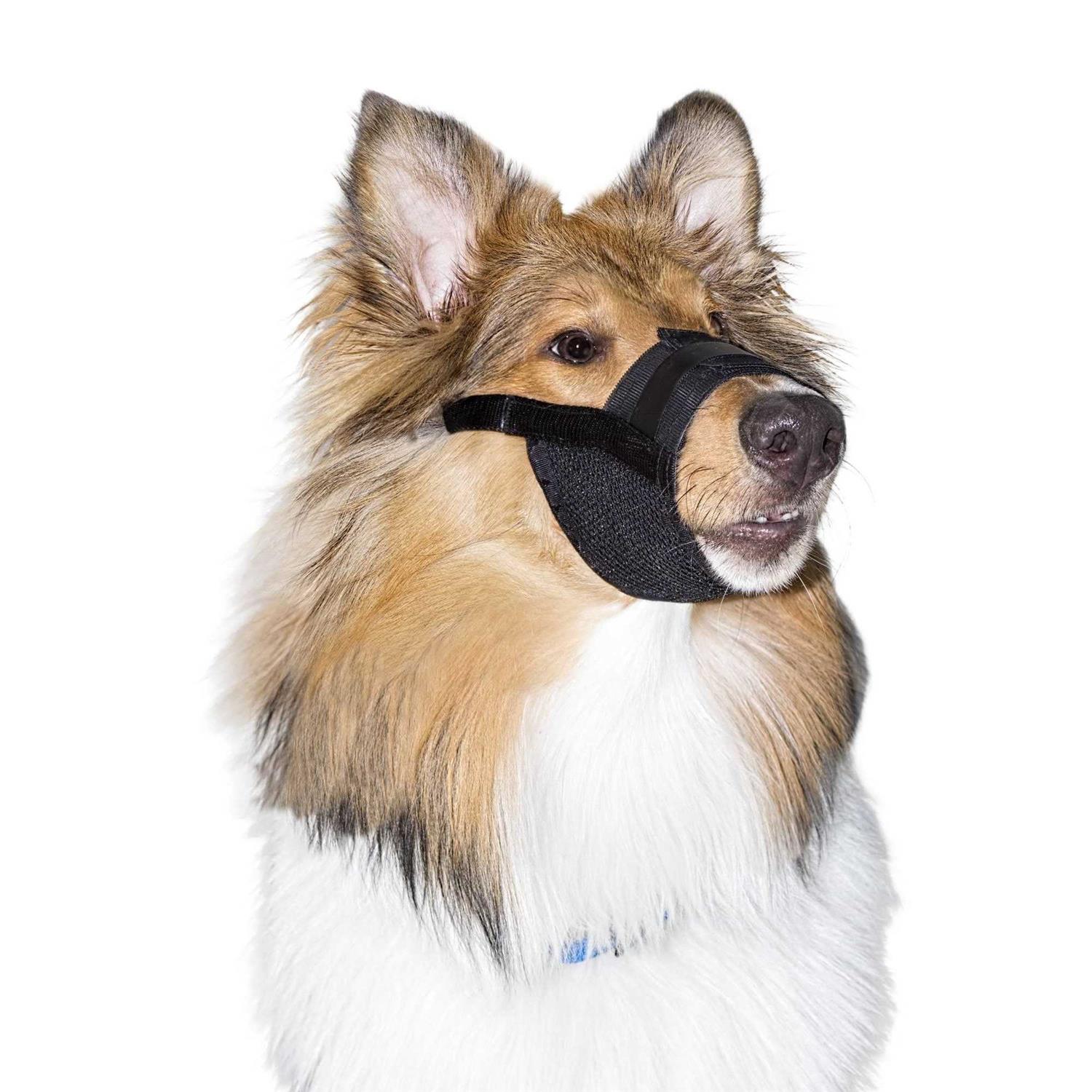 PetSafe Dog Muzzle