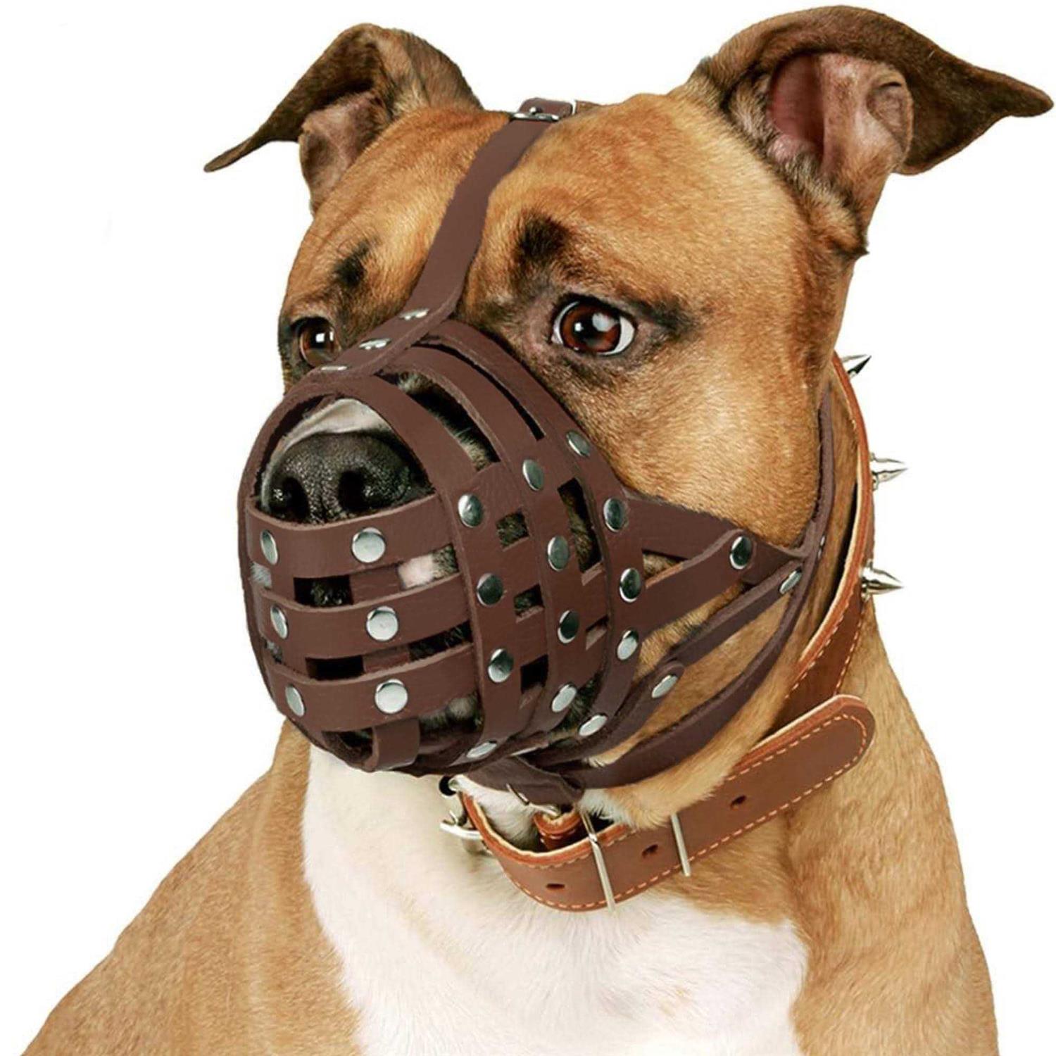 Alternative view of CollarDirect Dog Muzzle Pitbull Amstaff Basket Genuine Leather Staffordshire Terrier