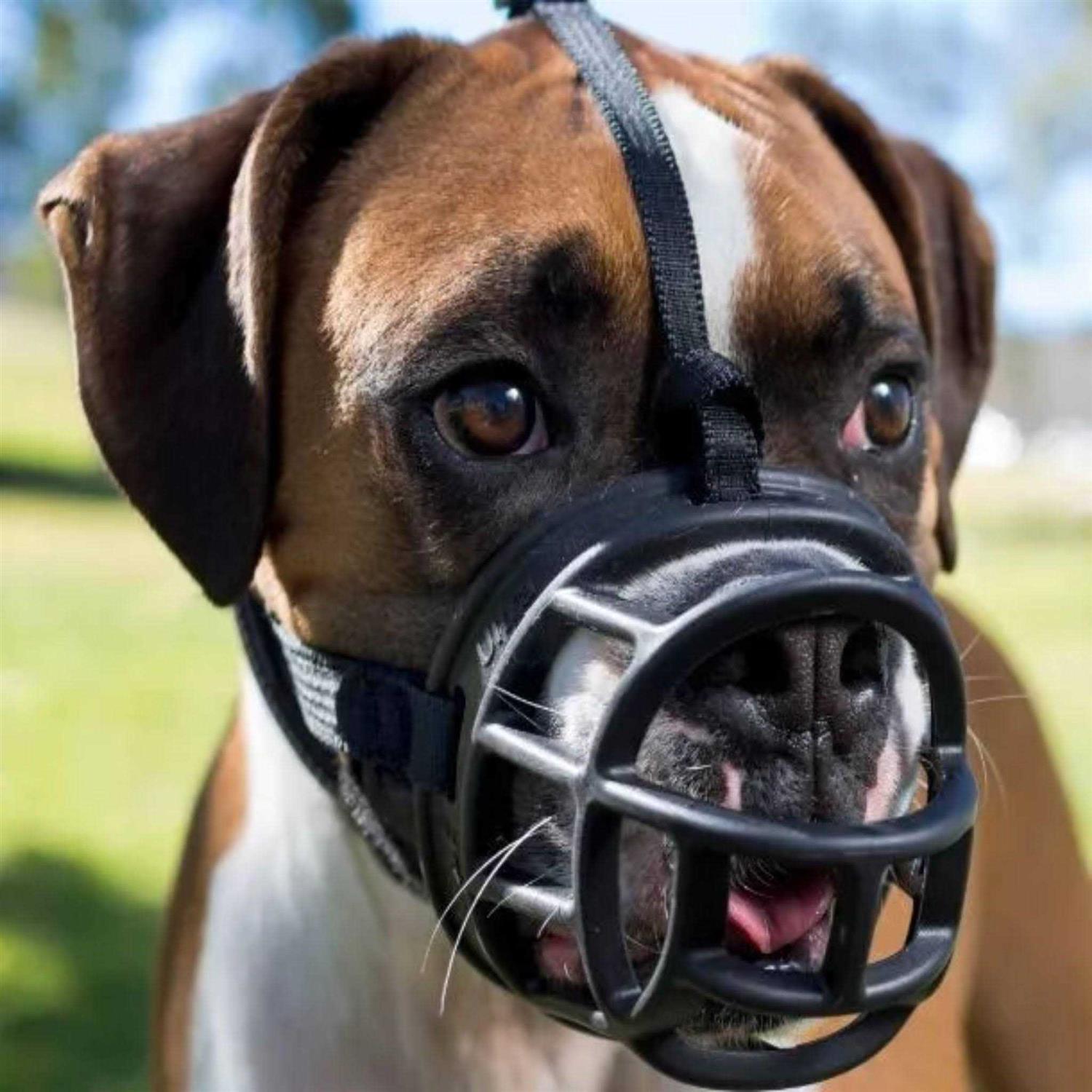 Alternative view of Baskerville Ultra Muzzle