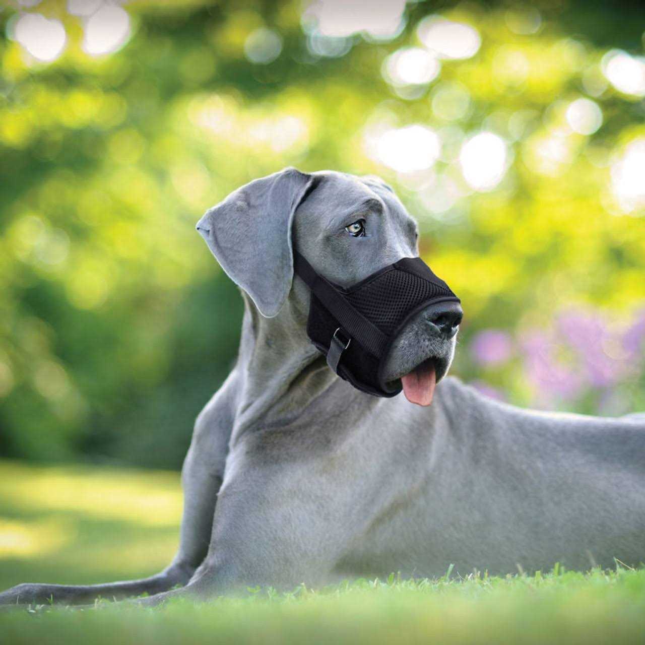 Alternative view of Coastal Pet Products Best Fit Adjustable Comfort Dog Muzzle-Black