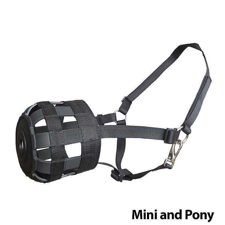 Alternative view of Economy Nylon Halter Grazing Muzzle