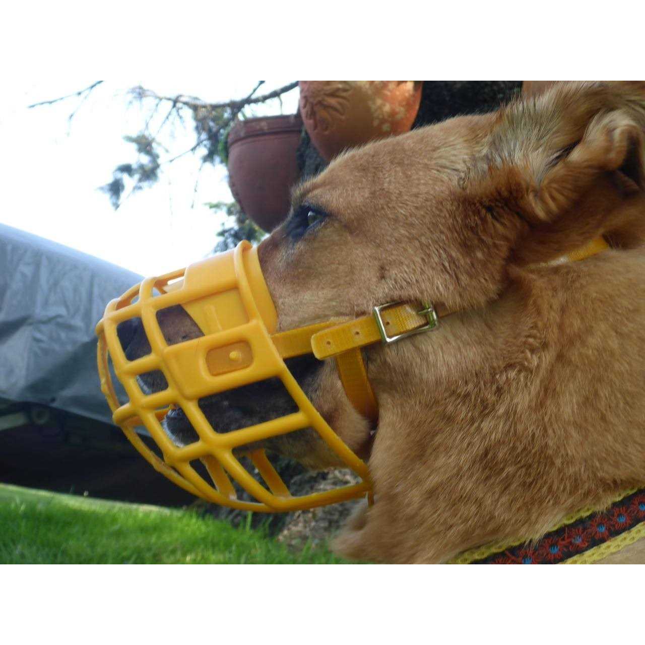 Alternative view of Birdwell Enterprises Plastic Dog Muzzle with Adjustable Plastic Coated Nylon Headstall