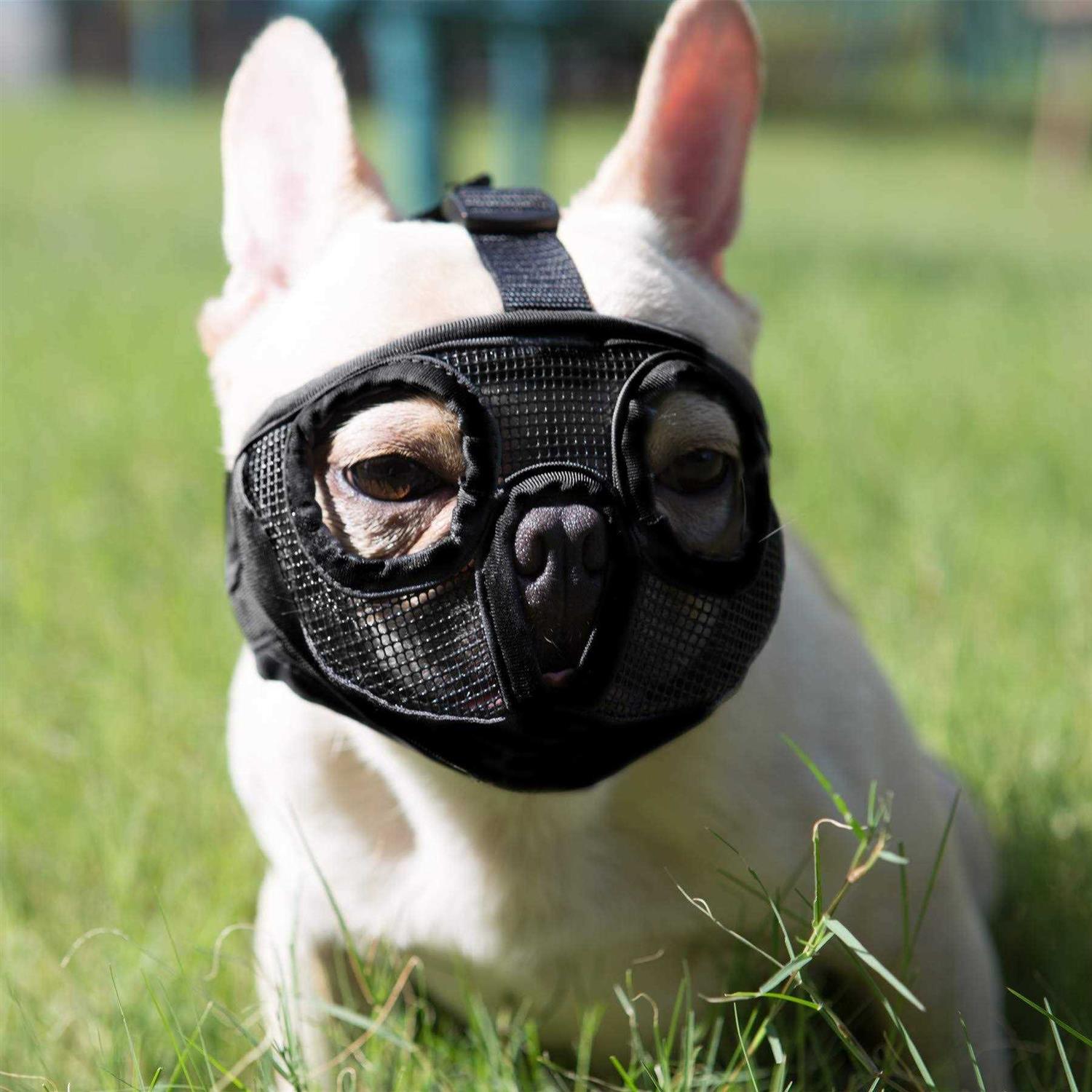 JYHY Short Snout Dog Muzzles Adjustable Breathable Mesh Bulldog Muzzle for Biting Chewing Licking Grooming Dog Mask