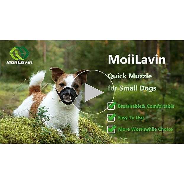 Alternative view of MoiiLavin Dog Muzzle XS Soft Air Mesh for Small Dogs with Long Snout Quick Fit for Grooming Adjustable Prevent from Biting Barking and