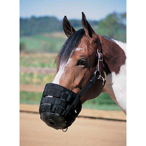 Alternative view of Weaver Leather Grazing Muzzle