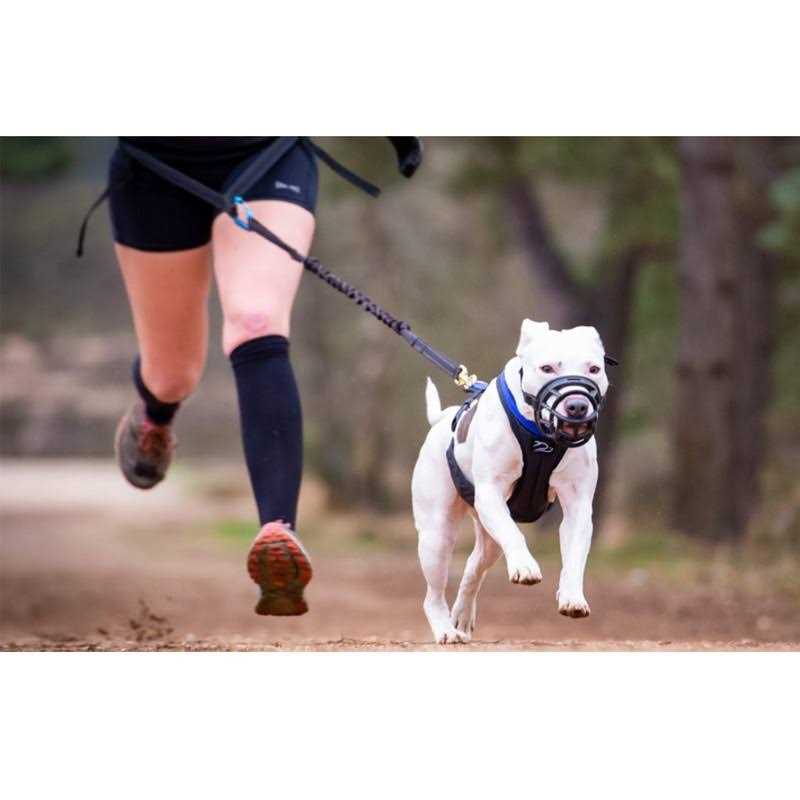 Alternative view of Mayerzon Dog Muzzle, Basket Breathable Silicone Dog Muzzle for Anti-Barking and Anti-Chewing