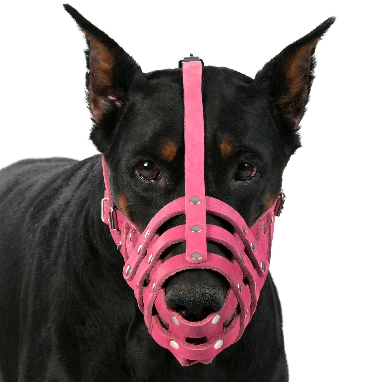 Alternative view of CollarDirect Dog Muzzle German Shepherd Dalmatian Doberman Setter Leather Basket Medium Large Breeds