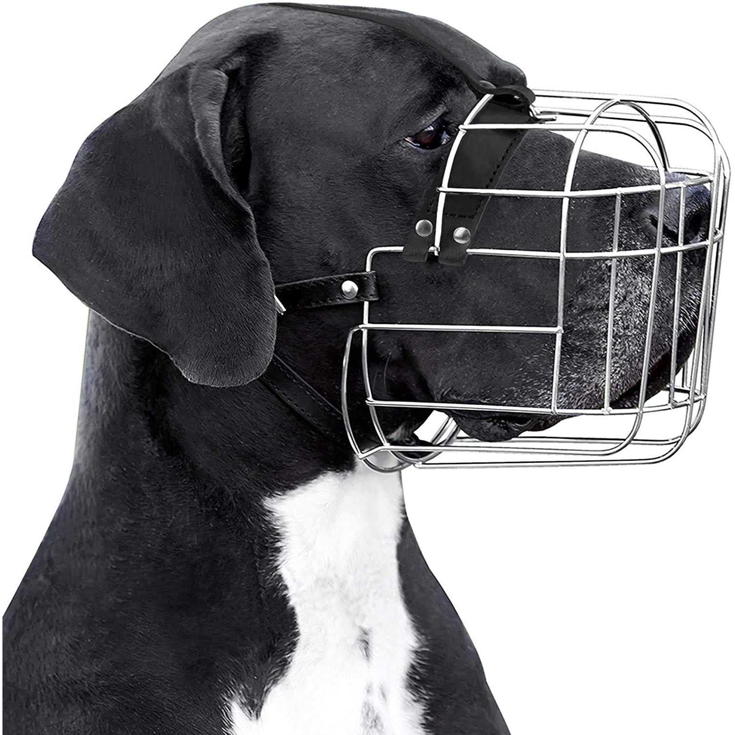 BRONZEDOG Metal Dog Muzzle Wire Basket Great Dane Mastiff Saint Bernard Mask with Leather Straps Muzzles for Extra Large Dog