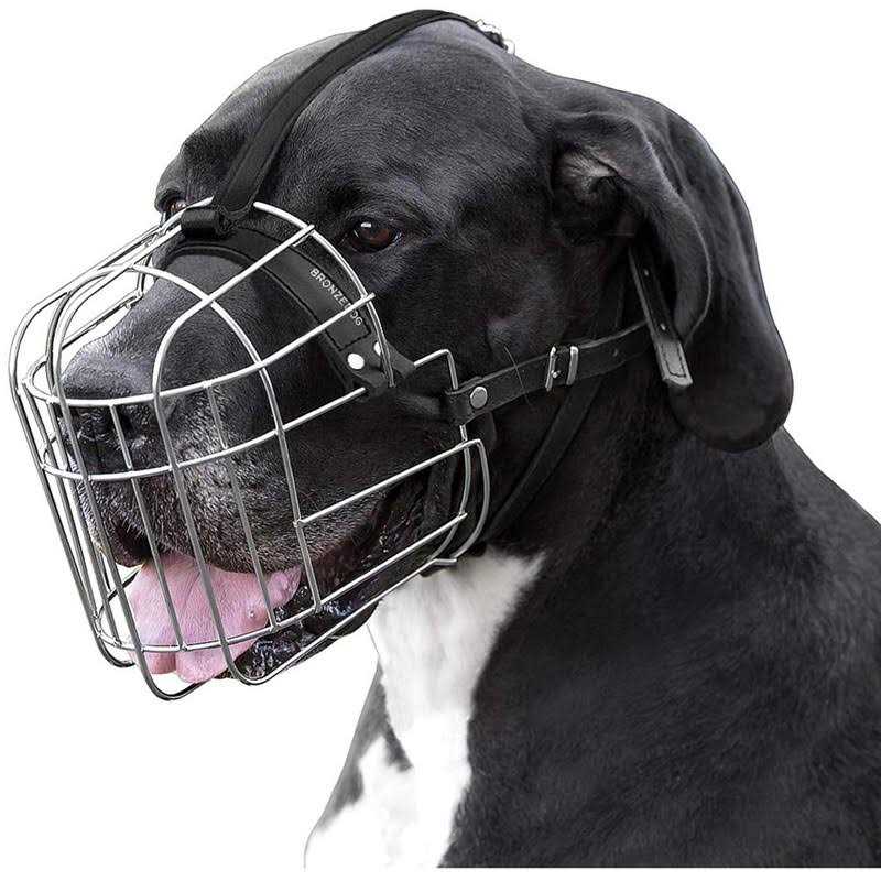 Alternative view of BRONZEDOG Metal Dog Muzzle Wire Basket Great Dane Mastiff Saint Bernard Mask with Leather Straps Muzzles for Extra Large Dog