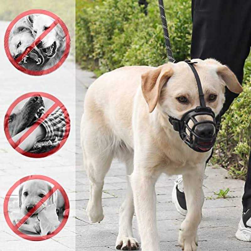 Alternative view of QDAOYU 3pcs Dog Muzzle Mouth Cover Silicone Dog Anti Barking Chewing,cute Duck Shape,Anti bite Adjustable Loop Pets Muzzle