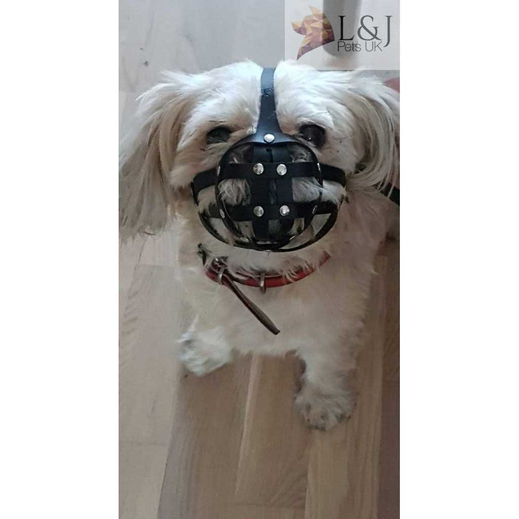 L&J Pets Uk Leather dog Muzzle for Shih Tzu and other flat face short snout dog's