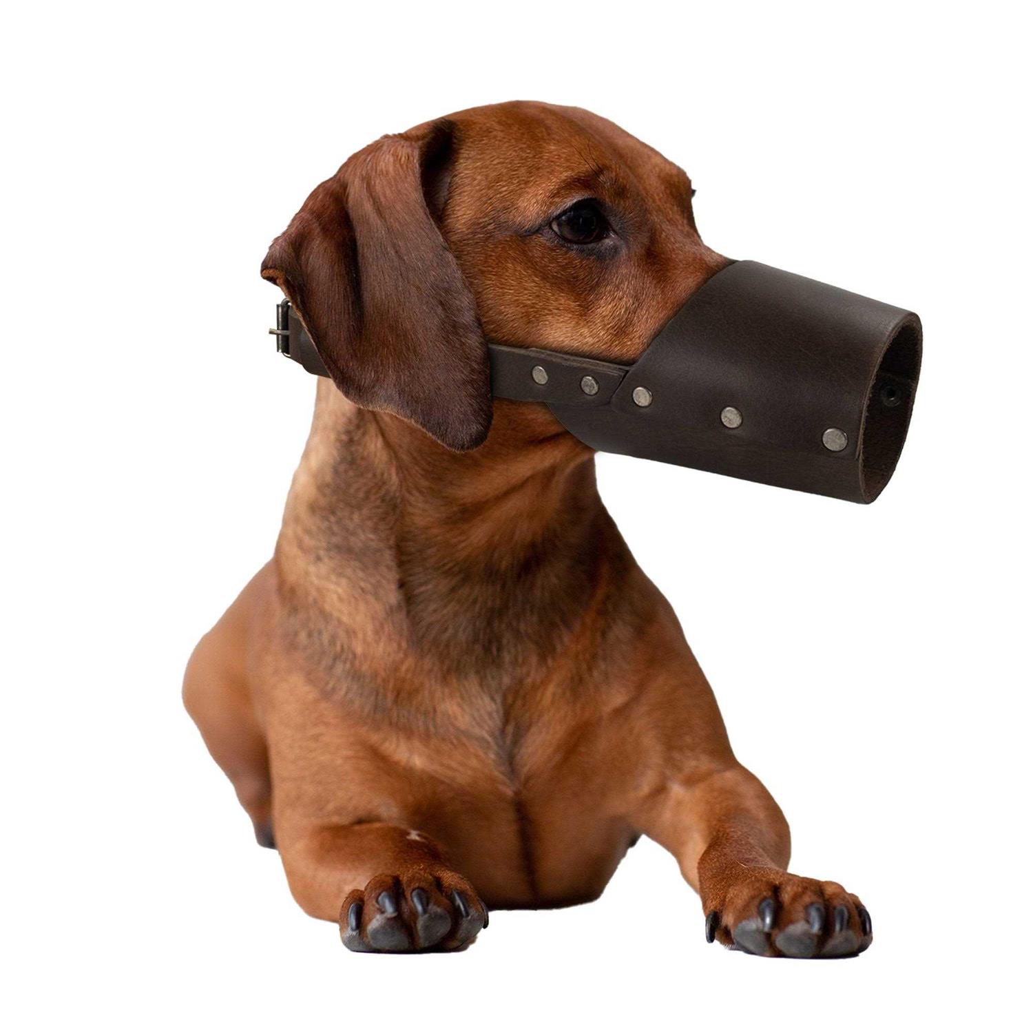 Hide & Drink Dog Muzzle Guard Secure Prevents Biting Chewing