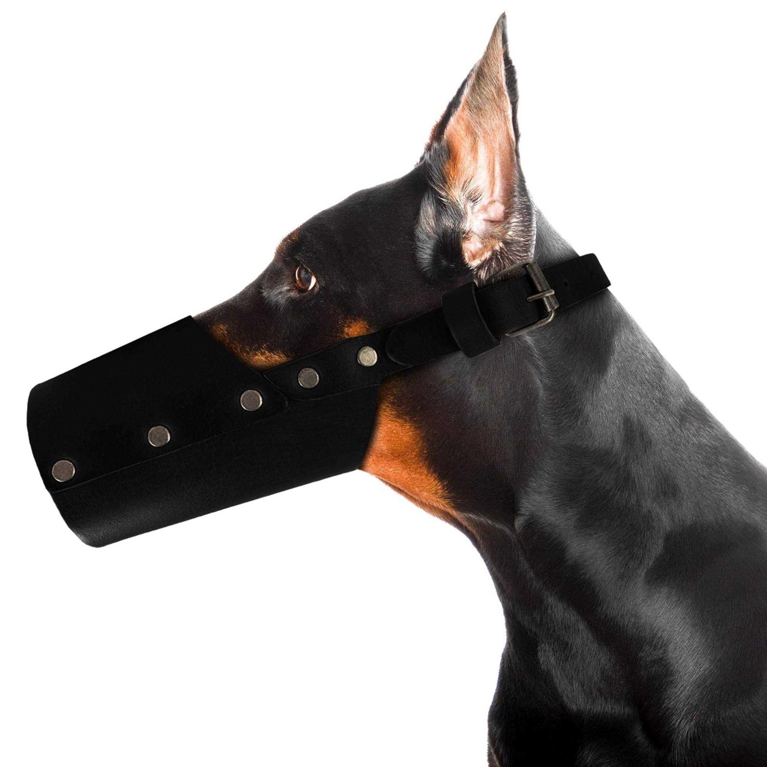 Hide & Drink Dog Muzzle Guard Secure Prevents Biting Chewing