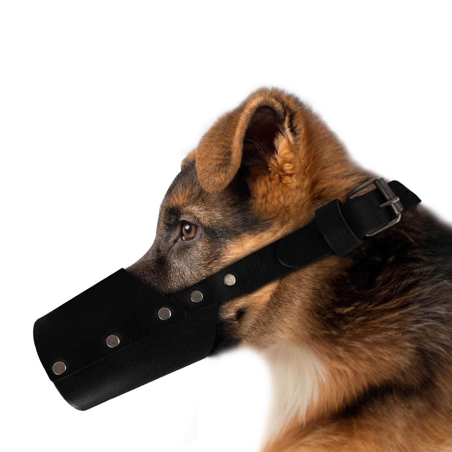 Hide & Drink Dog Muzzle Guard Secure Prevents Biting Chewing