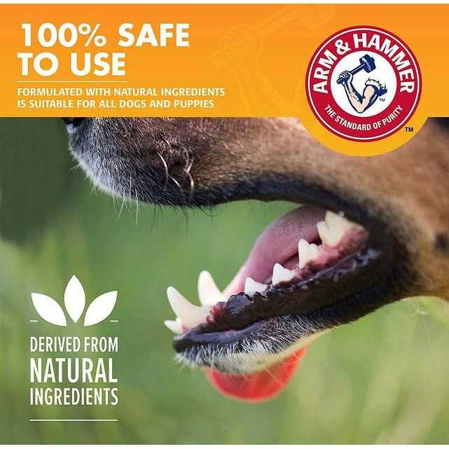 Alternative view of Arm & Hammer Fresh Breath Dental Kit for Dogs