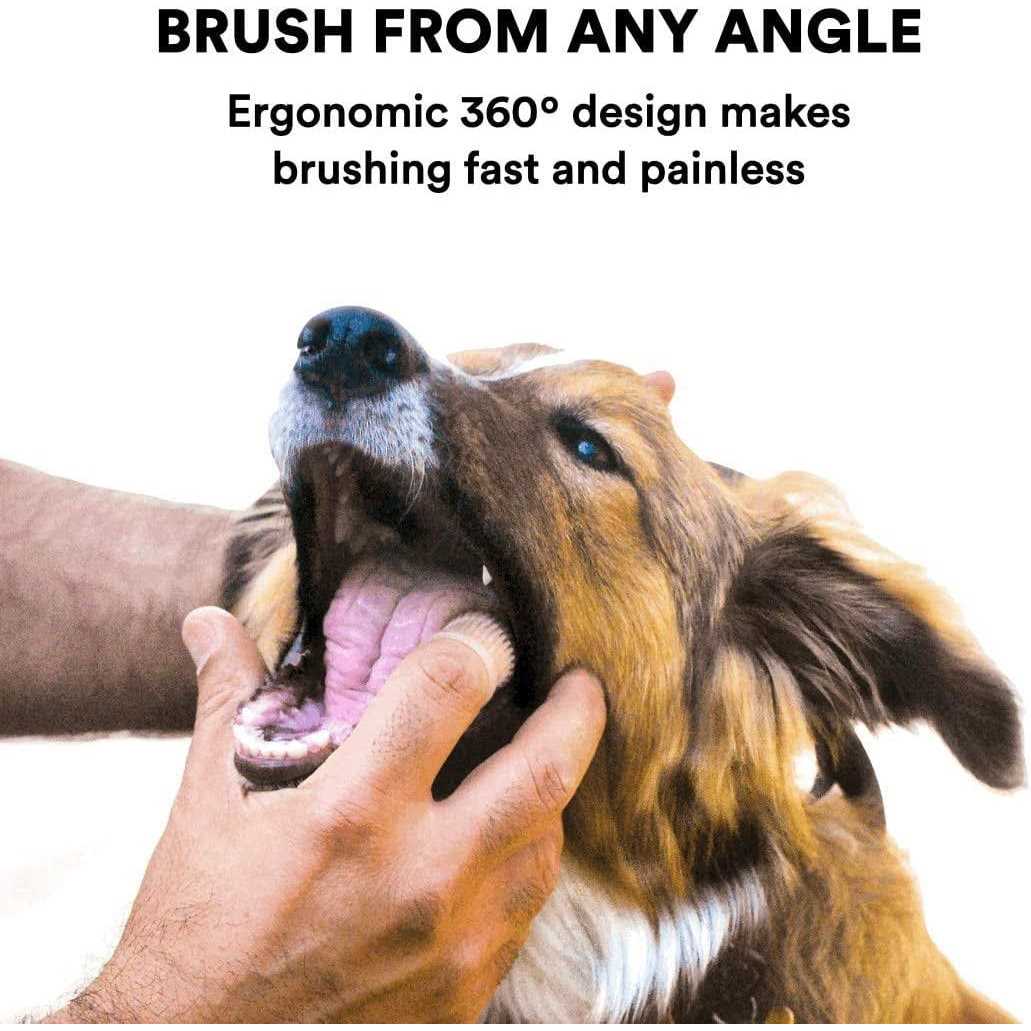 Alternative view of Jasper 360 Finger Dog Toothbrush
