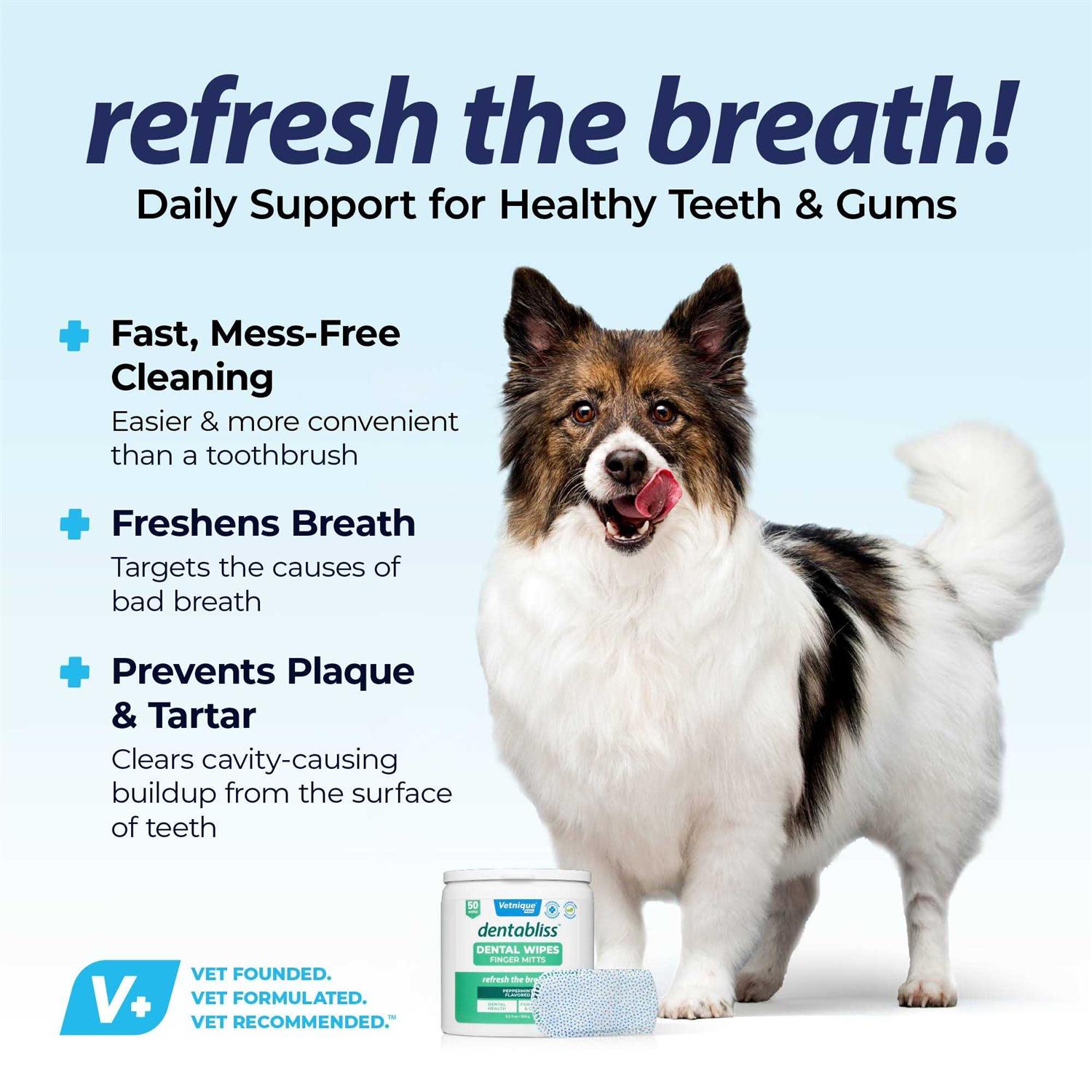 Alternative view of NEW! Dentabliss Daily Dental Wipes Finger Mitts 50 Count Jar