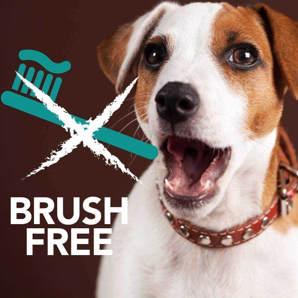 Alternative view of Tevrapet Brush-Free Oral Gel for Pets