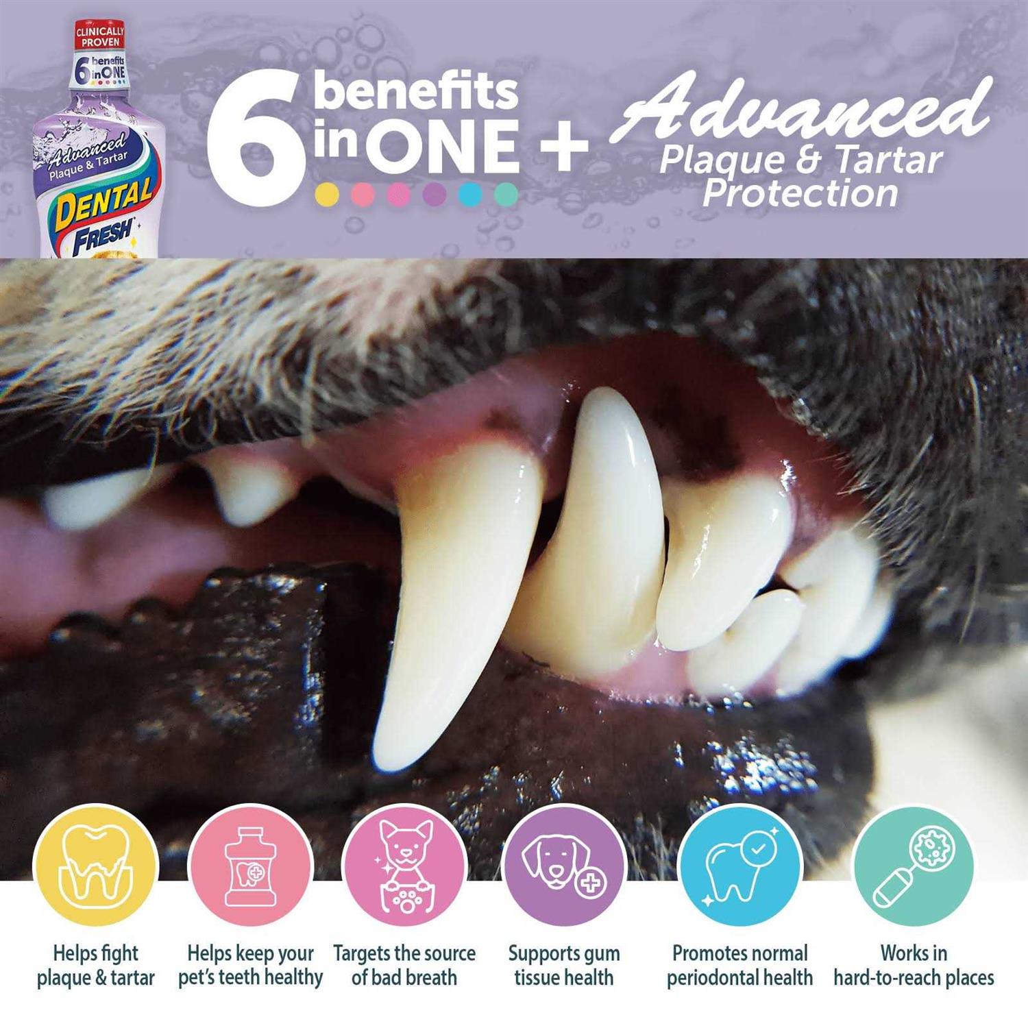 Alternative view of Dental Fresh Advanced Plaque and Tartar Water Additive for Dogs