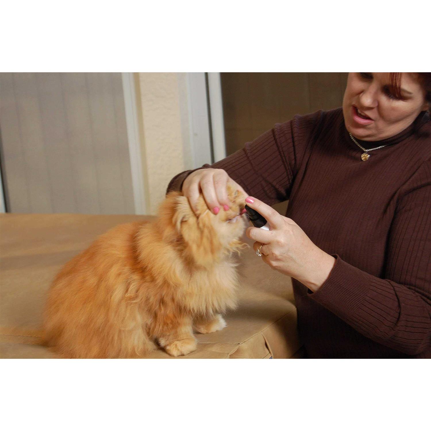 Alternative view of Plaque Attack Pet Dental Spray